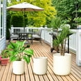 thumbnail image 2 of FOUKUS 9.8",11.4",13" Dia Round Concrete-like Plastic Planter Set of 3, Modern Style Large Cylindrical Plant Pot with Drainage Hole for Indoor Outdoor Patio, Beige, 2 of 5