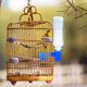 thumbnail image 4 of Nestingho 20Ud Comedero Y Bebedero Para Pajaros Azul Plástico Premium Instalación Sencilla, 4 of 8