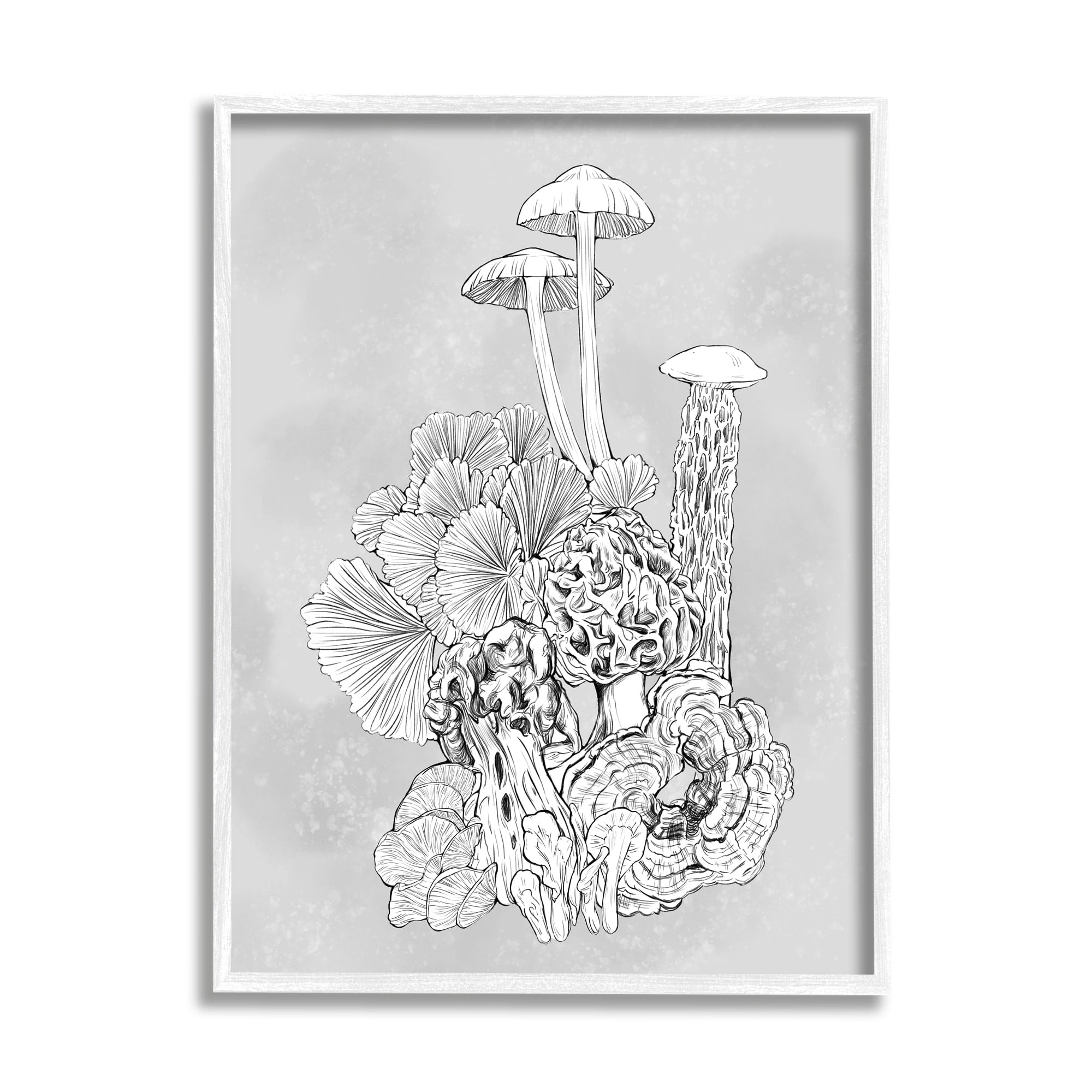 Stupell Industries Detailed Botanical Drawing Mushroom Proliferate Plant Study,16 x 20, Design by Ziwei Li