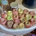 thumbnail image 2 of 3Pc Live Mountain Rose Succulent Rare Greenovia Rosette Plant Bare Root Succulent for Indoor Planters, Terrariums, Gifts & Wedding Décor, 2 of 11