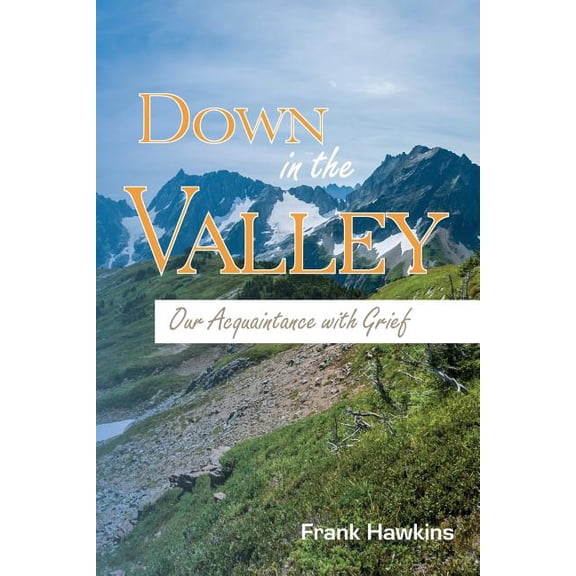 Down in the Valley: Our Acquaintance with Grief (Paperback)