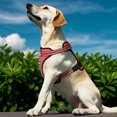 thumbnail image 6 of Ajustable Mesh Breathable Dog Harness - Reflective Webbing, Lightweight No Pull Harness with 3 Fast-Release Buckles for Dogs Walking, Running and Outdoor Adventures, Orange L, 6 of 11
