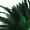 Kelly Green, variant on ZUCKER 25pc Rooster Chinchilla Tail Feathers - 8-10 inch Colorful Rustic Craft Supply for DIY Home Decor - Royal Blue