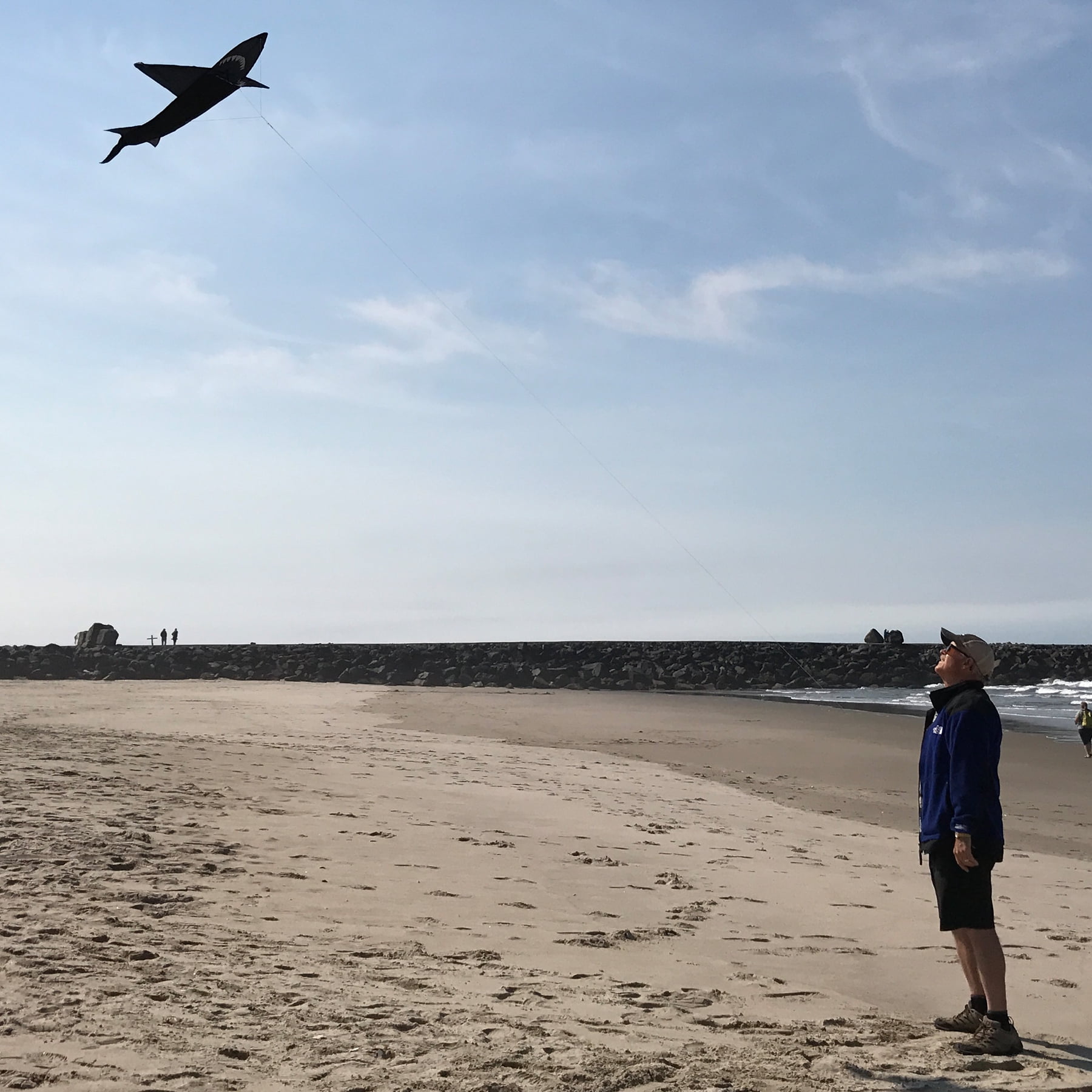 In The Breeze 2909 — 4 ft. 3D Shark Kite — Fun, Easy Flying Single-Line Sea Life Kite for the Family