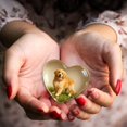 thumbnail image 3 of Adorno de escritorio de acrílico en forma de corazón transparente, ideal como regalo para peluqueros caninos o salones de belleza, 3 of 3