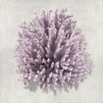 thumbnail image 3 of Kelly, Caroline 20x20 Black Modern Framed Museum Art Print Titled - Coral Amethyst I, 3 of 5