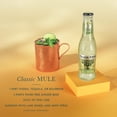 thumbnail image 5 of Fever-Tree Premium Ginger Beer , 500 ML Glass Bottle, 0% ABV, 5 of 6