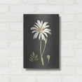 thumbnail image 3 of Luxe Metal Art 'Naturalist Bloom Study' by lettered & lined, Metal Wall Art, 12"x16", 3 of 9