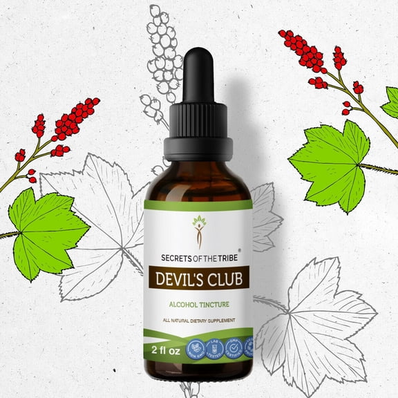 Devil's Club Tincture Alcohol Extract, Wildcrafted Oplopanax horridus Overall Health and Wellness 2 oz