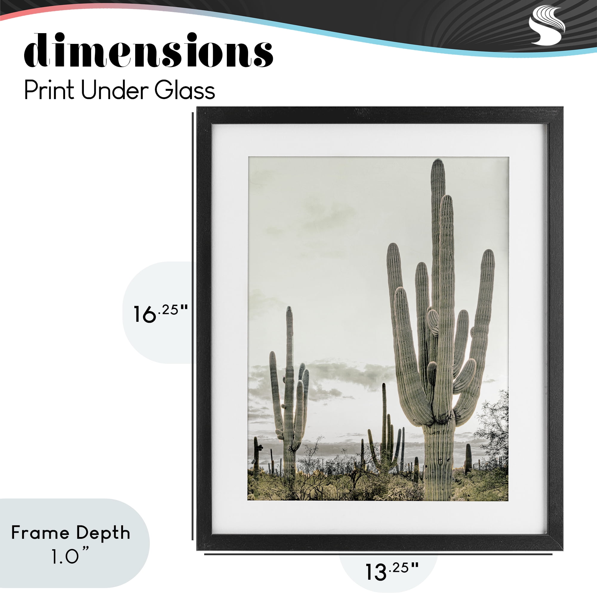 Stupell Industries Subdued Desert Cacti Black Framed Print Under Glass, design by Kim Allen