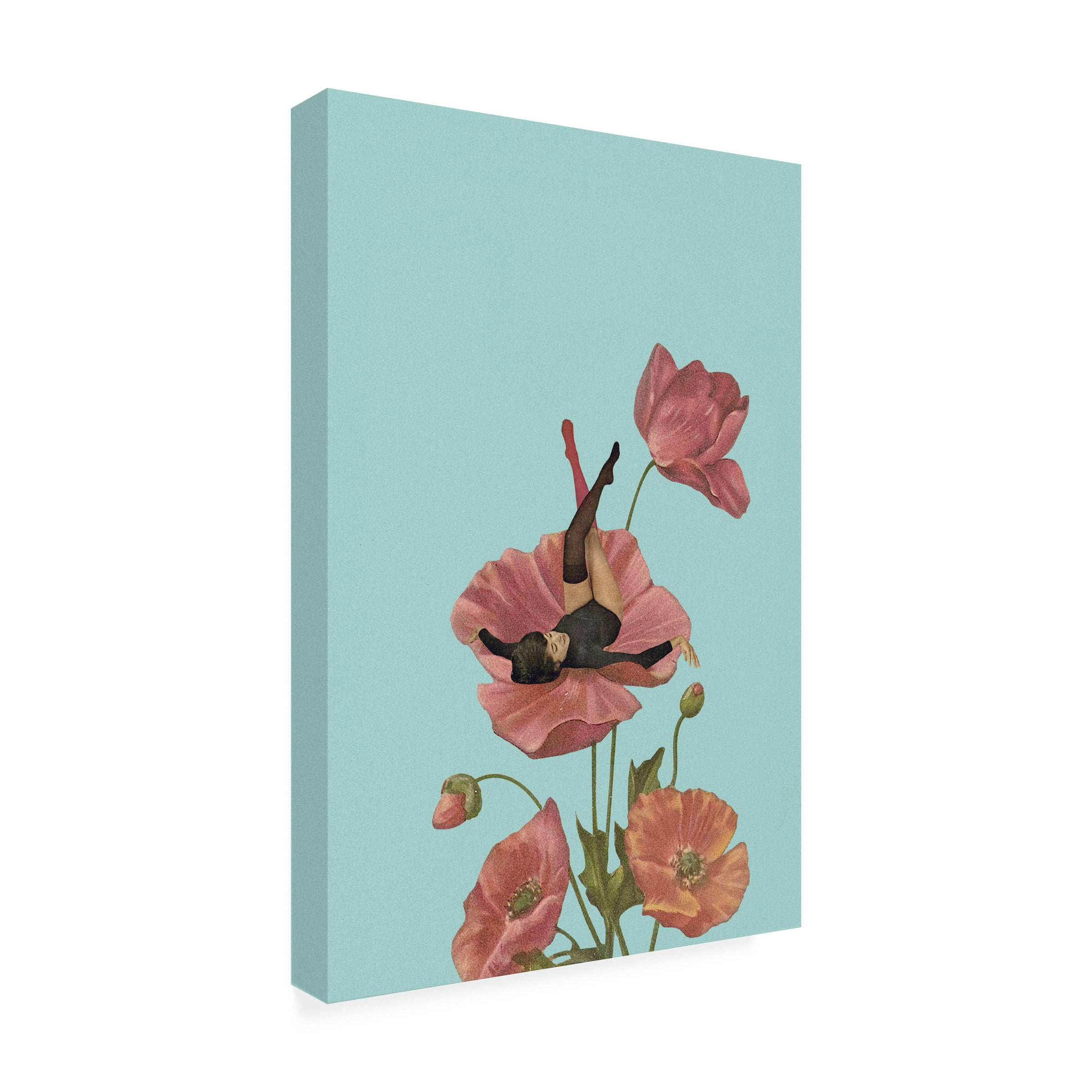 Trademark Fine Art Maarten Leon Colourful Dreamer Canvas Wall Art