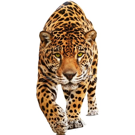 Diamond Painting Jaguar for Adults Diamond Art Leopard 5D DIY Paint by Number Kits Animal Cross Diamond Painting Jaguar for Adults Diamond Art Leopard 5D DIY Paint by Number Kits Animal Cross
