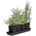 thumbnail image 3 of Pop-Out Pots Set of 4, 3 of 9