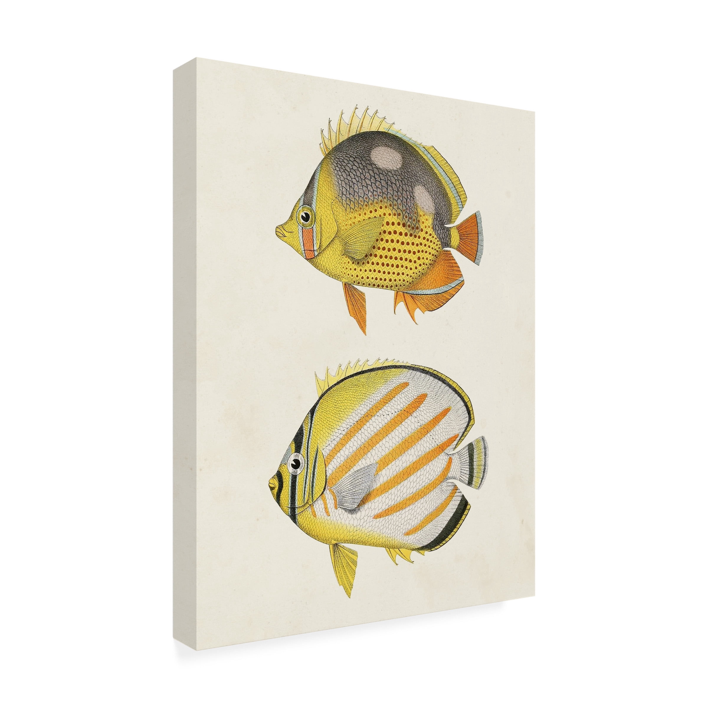 Unknown 'Yellow and Grey Fish IV' Canvas Art