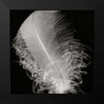 thumbnail image 2 of Christensen, Jim 12x12 Black Modern Framed Museum Art Print Titled - Feather IV, 2 of 5