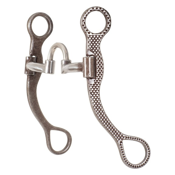 Classic Equine Rasp Straight 7in Shank Bit with Correct