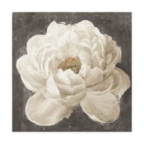 Trademark Fine Art 'Vivid Floral I White Flower' Canvas Art by Danhui Nai