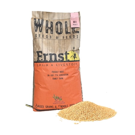 Ernst Grain & Livestock Non‑GMO White Millet, 46 lb – Clean Premium Seed for Juncos, Doves, Towhees & Quail – High‑Quality Single‑Ingredient Wild Bird Food