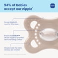 thumbnail image 3 of MAM Pacifier and MAM Pacifier Clip Value Pack (2 Pacifiers & 1 Clip), Pacifiers 0-6 Months, Unisex Baby Pacifier Animals Design, Baby Pacifier Clips, 3 of 7