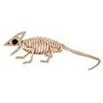 thumbnail image 2 of crazy bonez skeleton lizard, 2 of 3