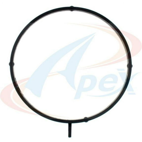 Throttle Body Gasket
