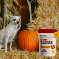 thumbnail image 6 of OH NORMAN! Two-Ingredient Pumpkin Dog Treats by Kaley Cuoco, Healthy Dog Treats for All Life Stages and Breeds, Air Dried, Ethically Sourced in Canada, 6 Oz, 6 of 6