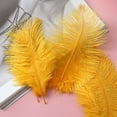 thumbnail image 2 of 50 Colorful Ostrich Feathers, Big Feathers, Wedding Background Wall Decoration, Internet Red Wall, White Pink Feathers, Flower Arrangement 15-20Cm D office supplies, 2 of 2