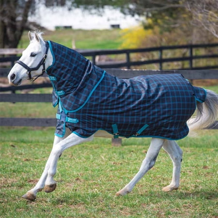 Amigo Hero 900 Pony Plus Turnout Blanket (50g Medium-Lite, 50g Hood), Black Check (Teal/Silver Trim), Size: 57