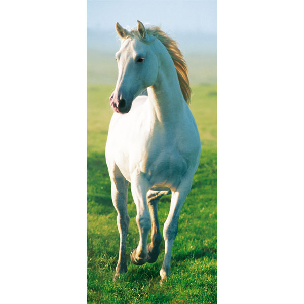 Ideal Décor White Horse Wall Mural