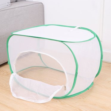 OULII Lot de 1 Habitat de Cage à Papillons pour Insectes avec Design