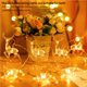 thumbnail image 5 of Bearachild 10 luces LED de hadas, de Navidad, lámpara impermeable, luces LED de cadena flexibles transparentes, luces decorativas para Iluminación navideña Bearachild HA017964-00, 5 of 6