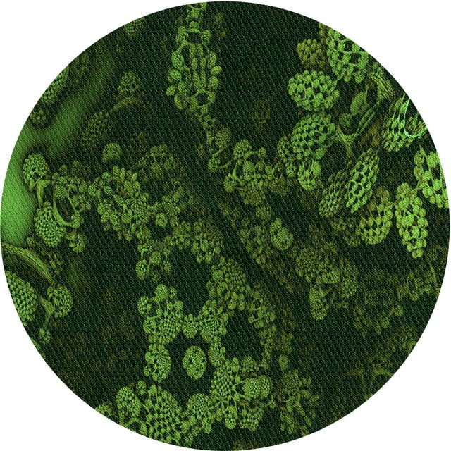 Ahgly Company Tapis d'Intérieur Rond Lavable en Machine Transitionnel Noir Nuit, 4 Pieds Rond