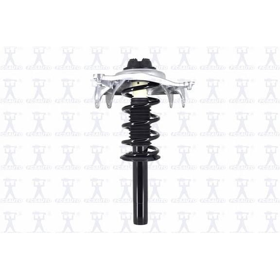 Suspension Strut and Coil Spring Assembly