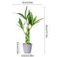 thumbnail image 3 of Twfbrm Artificial Bamboo Tree Decor, 18 inch Realistic Plastic Lucky Bamboo Plants in Terracotta Pot, UV Resistant Decorative Greenery Bonsai Faux Potted Plants Indoor for Home Office Desk Shelf, 3 of 6