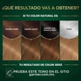 thumbnail image 4 of Tinte para cabello Nutrisse Oleos sin amoniaco 7.0 rubio, 4 of 6