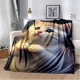 thumbnail image 1 of Couverture Ragdoll Chat Persan Calico Chat Garfield Couverture Douce pour Maison Chambre Lit Canapé Couverture Enfants, 1 of 7