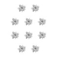 thumbnail image 1 of Yuarrent Flor de Navidad Simulación Artificial Decoración Flores Cabezas Hogar Granja Chimenea Adorno Cumpleaños Plata Plata 10piezas, 1 of 3