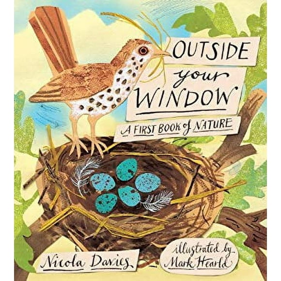 Outside Your Window : A First Book of Nature 9780763655495 Used / Pre-owned