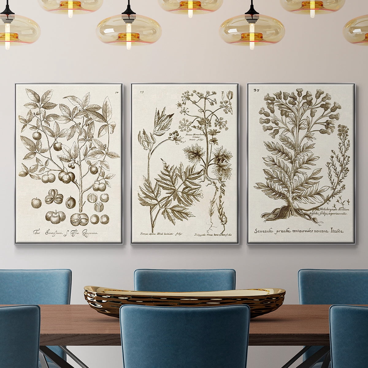 Sepia Botanical Journal I - Framed Premium Gallery Wrapped Canvas L Frame 3 Piece Set - Ready to Hang