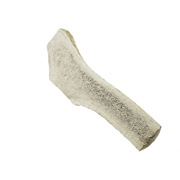 7-8" Large Split Naturally Shed Elk Antler Dog Treats, 1 count