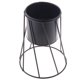 thumbnail image 2 of Soporte de Metal para Plantas Decoración de Jardines, Jardines, Ingeniería B Negro, 2 of 9