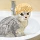 thumbnail image 3 of Pet Shower Cap Water Proof Pet Shower Hat Reusable Bath Ear Cover with Adjustable Strap, 3 of 4