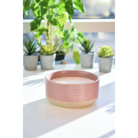 Better Homes & Gardens Warm Spring Sunshine Scented 16oz Ceramic Dish 3-Wick Candle