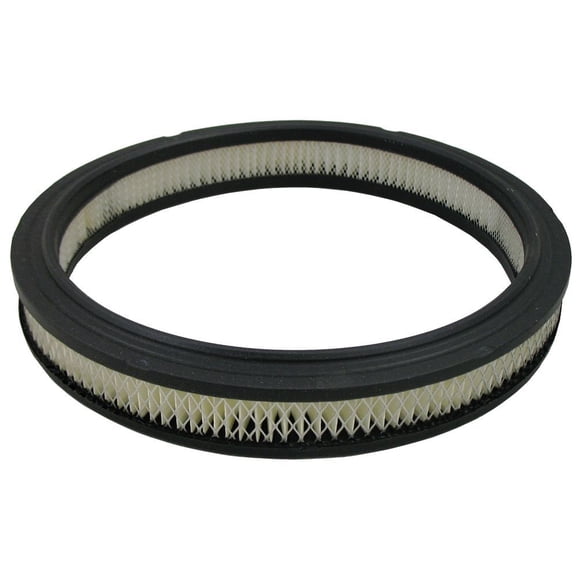 Pentius PAB3424 Pentius Filter Fits select: 1980-1982 FORD MUSTANG, 1980-1982 MERCURY CAPRI