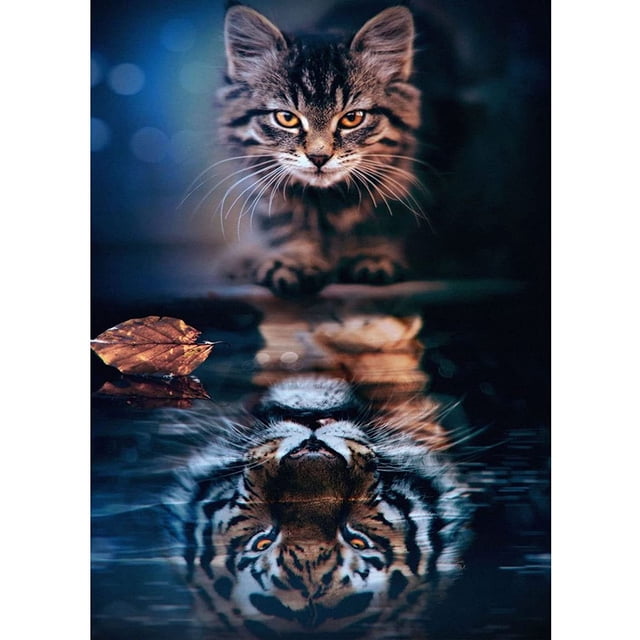 Pintura de diamante gato, pintura de diamante 5D, pintura de diamante, kit de pintura de diamante de gato, pintura de diamante de gato y tigre, kit completo de bordado de diamante