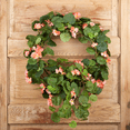 thumbnail image 3 of Silk Salmon Geranium Wreath - For Spring and Summer Floral Arrangements, Centerpieces and Home Decor, 3 of 5