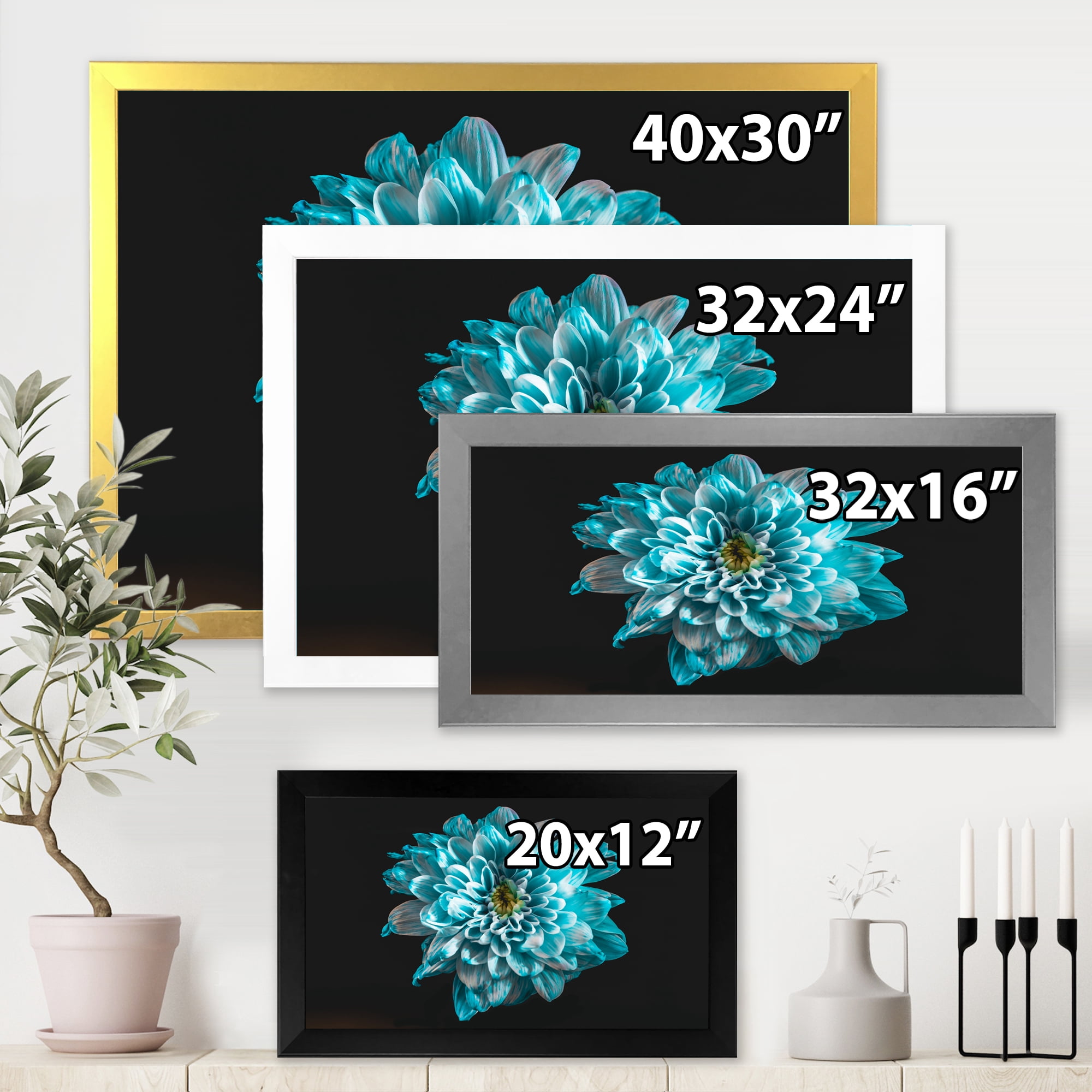 Designart 'Close Up Of Flower With White and Blue Petals' Traditional Framed Art Print