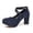 Navy, variant on Women's Suede Crossover Strap 8cm Heel High Heels Oktoberfest Casual Market Shoes