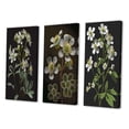 thumbnail image 3 of Designart "Blossoming Diphylleia Grayi on Black Background I" Floral Wall Art Set Of 3 - Traditional White Gallery Wall Set For Home Decor, 3 of 6