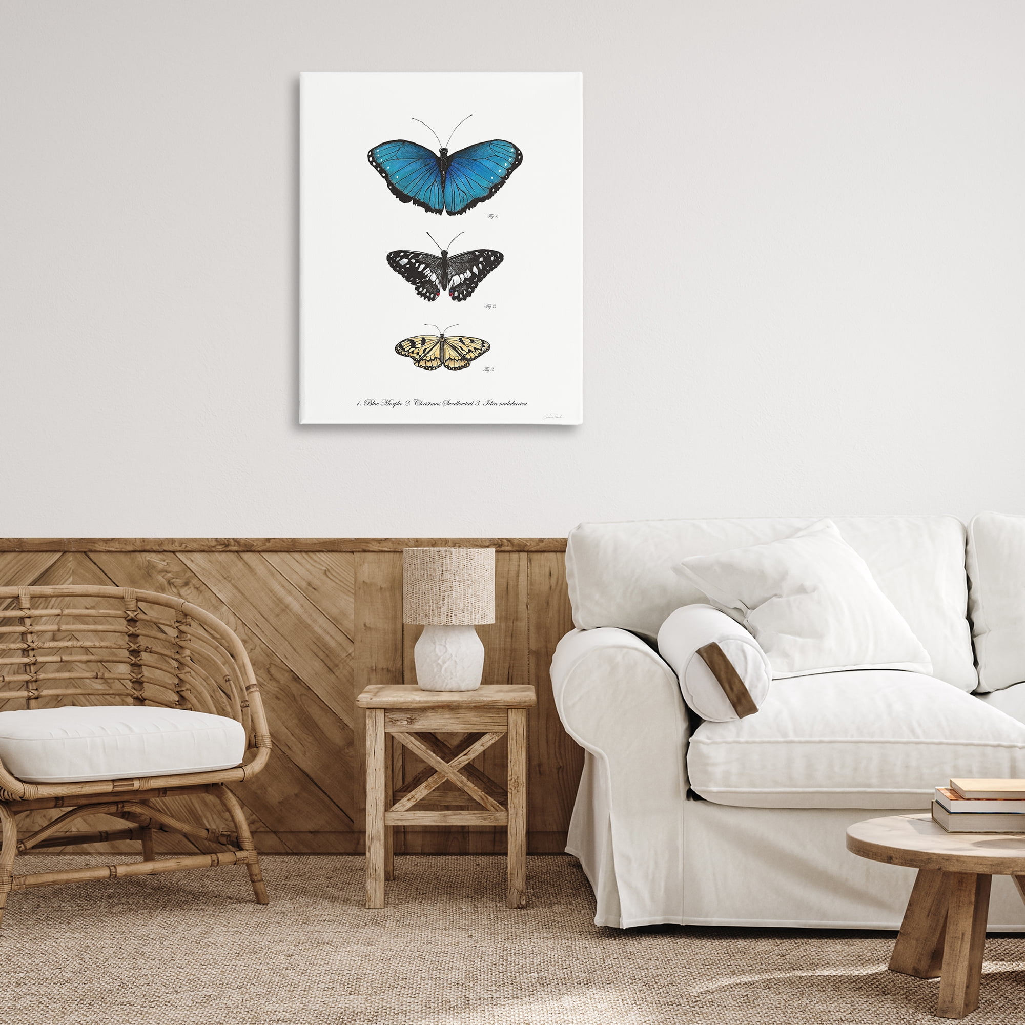 Stupell Industries Vintage Butterfly Specimens Animals & Insects Painting Gallery Wrapped Canvas Art Print Wall Art, 30 x 40